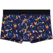 Hom Boxer court