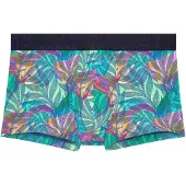 Hom Boxer court