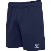 Hummel Pantalon de sport 'Go 2.0' marine