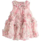 Next Robe crème / rose
