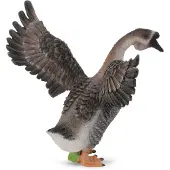 Collecta Houser