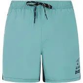 Protest Ben Swimming Shorts Vert S Homme