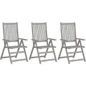 vidaXL Chaises de jardin réglables 3 pcs. Gris Acacia massif