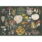 Trefl Puzzle Premium Plus Finders Keepers : Champignons 500 pièces