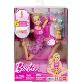Mattel Barbie JJN55, Poupée mannequin, Femmes, 3 ans/ans, Garçon/fille, 330,2 mm, Multicolore