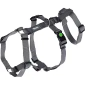 Kerbl Panikgeschirr Miami (grau, Halsumfang 30 - 41 cm, Brustumfang 42 – 55 cm)