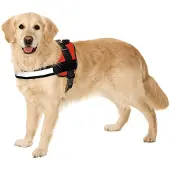 Karlie Xtreme Harnais pour chien Teflon , Couleur:rouge, Taille:44 - 50 cm x 25mm