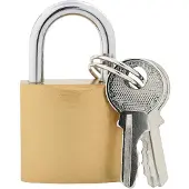 vidaXL U Lock avec Clés 12 pcs Laiton Fer