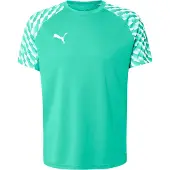 Puma T-Shirt fonctionnel 'teamLIGA26' émeraude / blanc