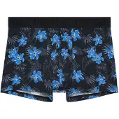 Hom Boxer