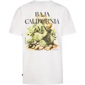 Petrol Industries T-Shirt 'Corrido' vert / noir / blanc