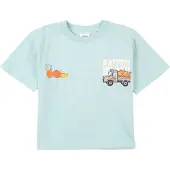 s.Oliver T-Shirt bleu clair / homard / noir / blanc