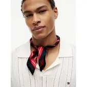 Tommy Hilfiger Écharpe bleu / bleu marine / rouge
