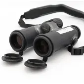 Swarovski CL Companion 10x30 anthracite occasion