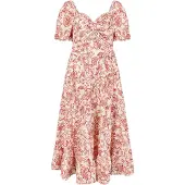 Apricot Robe ' ' rose