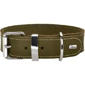Hunter Collier Aalborg Special (L, Chien)