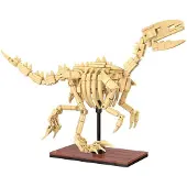 Cada Velociraptor (256 pièces)