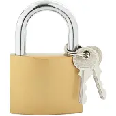 vidaXL Cadenas avec clés 50 pièces Laiton Fer