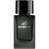 Burberry Mr. Eau de Parfum pour homme 100 ml