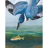 New York Puzzle Company - Puzzle « Martin-pêcheur à ceinture » - 100 pièces - Carton - Enfants