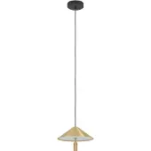 Eglo PARAGUAY, Noir, Laiton, Acier, Universel, IP20, II, LED