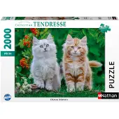 Nathan - Puzzle de 2000 pièces - Chatons sibériens - 14 ans et plus - Puzzle de qualité supérieure - Collection Tenderness - 12001868