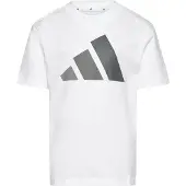 Adidas T-Shirt fonctionnel 'Essentials' gris / blanc
