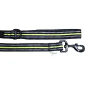Axaeco 4 Season Dog Leash Bleu L