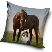Carbotex Taie d'oreiller Cheval et Border Collie