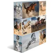 Herma Dossier A4 Motif (A4, 70 mm, 1 pcs)