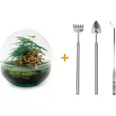 Urbanjngl Diy Terrarium - Dôme Rouge - ↕ 20 Cm