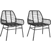 vidaXL Chaises de jardin 2 pcs. noir poly rotin