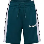Hummel Pantalon de sport pétrole / noir / blanc