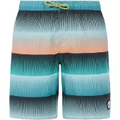 Protest Ray Swimming Shorts Bleu 104 cm Garçons