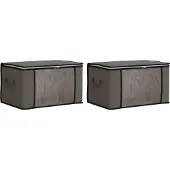 vidaXL Boîte de rangement avec fenêtre latérale transparente 2 pcs
