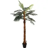 vidaXL Arbre Cocuspalm artificiel Vert 70 x 20 x 200 cm