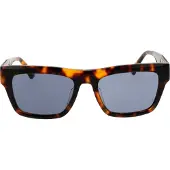 Superdry Sunglasses SDS 5011 102 54