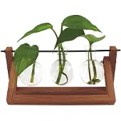 Winkee Hydro Vases Blossom - Vase (3x)