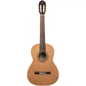 Ortega Traditional Series R18S guitare classique avec housse