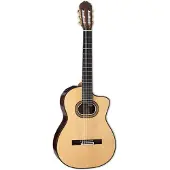 Takamine DH90 Hirade Classique CW Natural