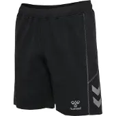 Hummel Pantalon de sport 'Move 2.0' gris / noir