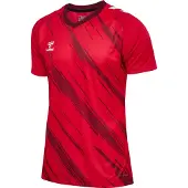 Hummel T-Shirt fonctionnel 'Match Triumph' rouge / lie de vin / blanc