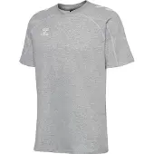 Hummel T-Shirt fonctionnel gris / gris basalte