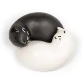 Kikkerland Gadget Set de Table Poivre et Sel Chatoyant