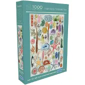 Gibsons Puzzle Natural Curiosities 1000 Teile bunte Pappe