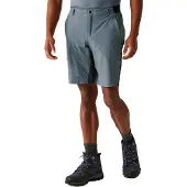 Regatta Short Eldes