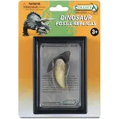 Collecta Dent de tyrannosaure en paquet 89281