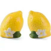 Excelsa set sel et poivre Amalfi céramique 5,5x7,5x4 cm jaune