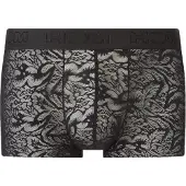 Hom Boxer court