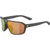 Alpina Lunettes de soleil SWIFT